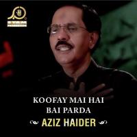 Wah Hassan Sabz Qaba Aziz Haider Song Download Mp3