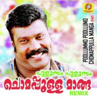 Poolumma, Pt. 2 Kalabhavan Mani Song Download Mp3