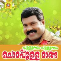 Pooluma Pooluma Chumappulla Manga Kalabhavan Mani Song Download Mp3