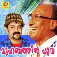 Aaranu Thajudheen Song Download Mp3