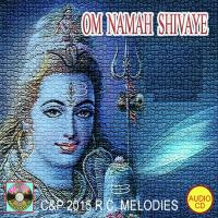 Jai Shiv Shankar Bholenath Robin Chatterjee Song Download Mp3