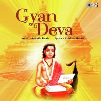 Punyayi Bhimachi Krishna Shinde Song Download Mp3