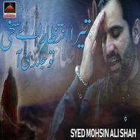 Akbar Da Baba Syed Mohsin Ali Shah Song Download Mp3