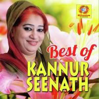 Manasenna Poovadi Kannurseenath Song Download Mp3