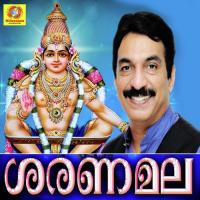 Papangal Pokkunna Unni Menon Song Download Mp3