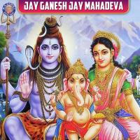 Rudra Chamakam Vighnesh Ghanapaathi,Gurumurthi Bhat,Shridhara Bhat Song Download Mp3