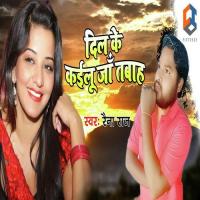 Dil Ke Kailu Ja Tabah Raina Raj Song Download Mp3