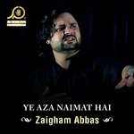 Milna Chali Hai Aaj Sakina (S.A) Zaigham Abbas Song Download Mp3