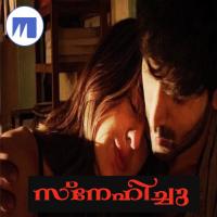 Vidaruvan Vayikiya Rahul Jayachandran Song Download Mp3