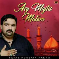 Aey Majlis Matam Fayaz Hussain Hakro Song Download Mp3