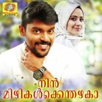 Akasham Niraye Vidhu Prathap Song Download Mp3