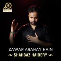 Zawar Arahay Hain Shahbaz Haidery Song Download Mp3