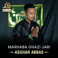 Marhaba Ghazi Jari Asghar Abbas Song Download Mp3