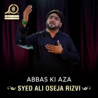 Rokar Kehti Thi Syed Ali Oseja Rizvi Song Download Mp3