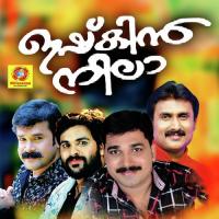 Nirayum Punjiri Shafi Kollam Song Download Mp3