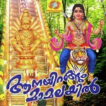 Mannilum Vinnilum Biju Narayanan Song Download Mp3