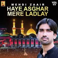 Haq Ali Ya Ali Mehdi Zaair Song Download Mp3