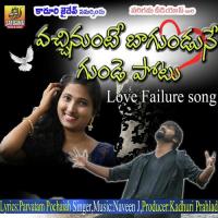 Vachinunte Bagunde Gundepotu Naveen J Song Download Mp3