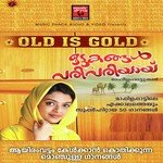 Karunakkadal (Female) Kannur Zeenath Song Download Mp3