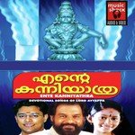 Chottanikkarayile (Female) Ashwathy Song Download Mp3