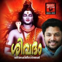 Palajanmamalanju Njan (Female) Anu Song Download Mp3