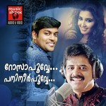 Neeyevide Neeyevide (Male) Vidhu Prathap Song Download Mp3