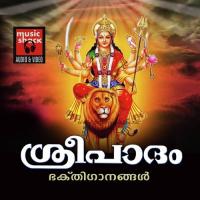 Irappam Kottappan Shani Song Download Mp3