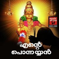 Vedantha Chinmayan Narayan Krishna Song Download Mp3