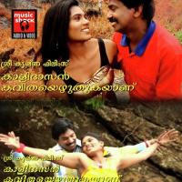 Paalnilavil Parannu Vanna Santhosh Pandit Song Download Mp3