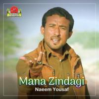 Mana Zindagi Naeem Yousaf Song Download Mp3