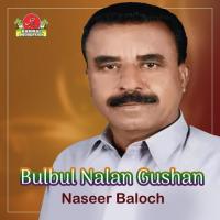 Burwan Kuja Naseer Baloch Song Download Mp3