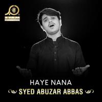 Haye Nana Syed Abuzar Abbas Song Download Mp3