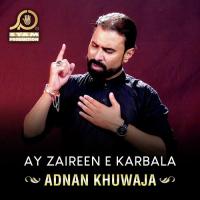 Ay Zaireen E Karbala Adnan Khuwaja Song Download Mp3