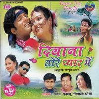 Selem Jodi Tor Payar Re Pawan Song Download Mp3