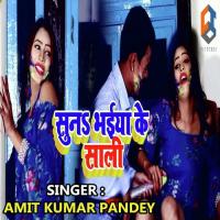 Suna Bhaiya Ke Sali Amit Kumar Pandey Song Download Mp3