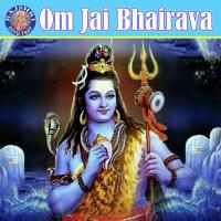 Rudram Namakam Vighnesh Ghanapaathi,Gurumurthi Bhat,Shridhara Bhat Song Download Mp3