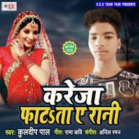 Jab Pyar Tu Ham Se Kailu Kuldip Pal Song Download Mp3