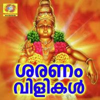 Sharanamvili (Version 2) Padanilam Babu Song Download Mp3