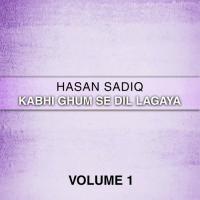 Tunay Nazrain Mila Kar Hasan Sadiq Song Download Mp3