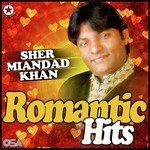 Laraiyan Changian Nahin Sher Miandad Khan Song Download Mp3