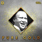 Tum Ne Bhi Thukra Hi Diya Hai Nusrat Fateh Ali Khan Song Download Mp3