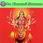 Durga Gayatri Mantra Ketan Patwardhan Song Download Mp3