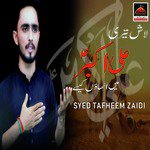 Lash Teri Ali Akbar Main Uthao Kaisay Syed Tafheem Zaidi Song Download Mp3