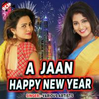 Happy New Year Pe Vijay Ji Prajapati Song Download Mp3