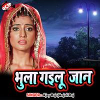 Insurence Kara Da Saiya Babuaa Bipin Song Download Mp3