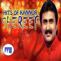 Allahuve Nee Kannanam Kannur Shareef Song Download Mp3