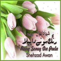 Ishq Dey Kheda Wech Shehzad Awan Song Download Mp3