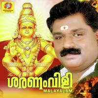 Shabari Padanilam Babu Song Download Mp3