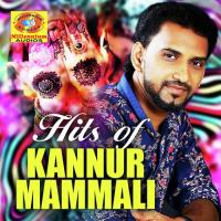 Azhakil Virinjulla Kannur Mammali Song Download Mp3