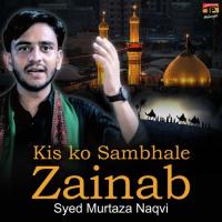 Kis Ko Sambhale Zainab Syed Murtaza Naqvi Song Download Mp3